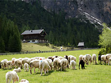 Dreischusterhütte Innerfeldtal Sextner Dolomiten