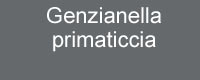 primavera a Sesto