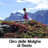 Sextner Dolomiten Wanderungen